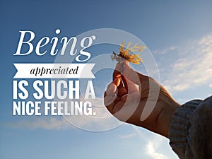 Inspirational motivational quote- Being appreciated is such a nice feeling. With young woman hands holding sea weed against the photo