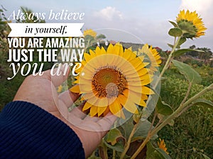 Inspirational motivational quote - Always believe in yourself. You are amazing just the way you are.