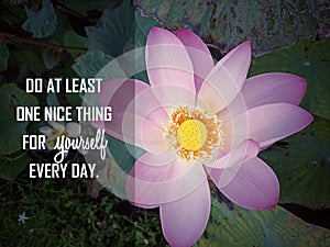 Inspirational motivational quote - Do at least one nice thing for yourself every day. With top view background of pink lotus