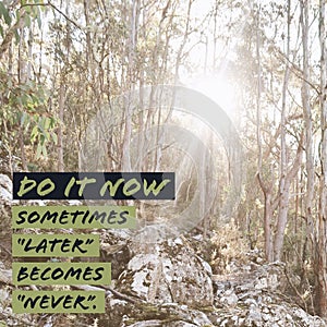 Inspirational motivational quote `Do it now. Sometimes later becomes never.` photo
