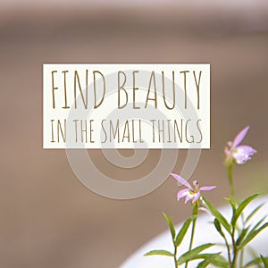 Inspirational motivational quote `Find beauty in the small things`