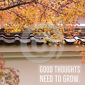 Inspirational motivational quote `Good thoughts need to grow`