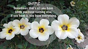 Inspirational motivational quote - Hope sometimes that is all you have when you have nothing else. If you have it, you have