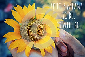 Inspirational motivational quote - If it is mean to be, it will be.With beautiful sunflower blossom in hands.