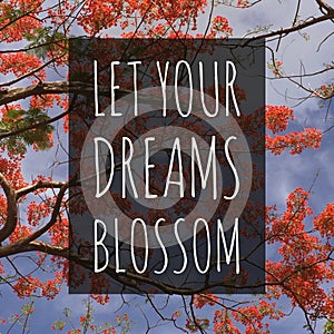 Inspirational motivational quote `Let your dreams blossom.`