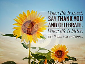 Inspirational motivational quote - When life is sweet, say thank you and celebrate. When life is bitter, say thank you and grow.