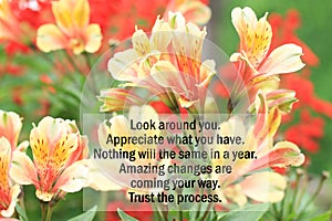 Inspirational motivational quote - Look around you, Appreciate what you have. Nothing will be the same in a year. Amazing changes.