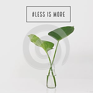 Inspirational Motivational quote `Less is more`