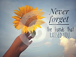 Inspirational motivational quote - Never forget the hands that raised you. With background of blue sky and beautiful sunflower