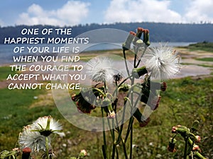 Inspirational quote - One of the happiest moments of your life is when you find the courage to accept what you cannot change. photo