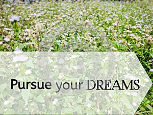 inspirational and motivational quote of pursue your dream with green color background. Stock photo.