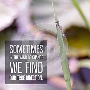 Inspirational motivational quote `Sometimes in the wind of change we find our true direction.` photo