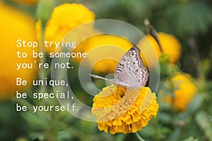 Inspirational motivational quote - Stop trying to be someone you are not. Be unique, be special, be yourself.