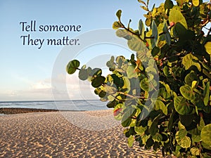 Inspirational motivational quote- Tell someone they matter. With white sandy beach under clean blue sky scenery and green plants