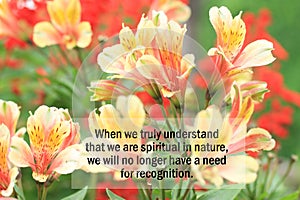 Inspirational quote - When we truly understand that we are spiritual in nature, we will no longer have a need for recognition. photo