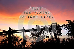 Inspirational motivational quote - Trust the timing of your life. On beautiful abstract nature background