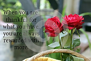 Inspirational motivational quote - When you are thankful for what you have, you are always rewarded with more. With red roses. photo