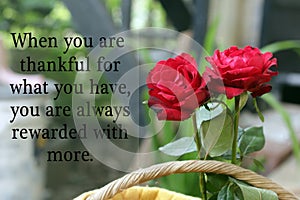 Inspirational motivational quote - When you are thankful for what you have, you are always rewarded with more. With red roses.