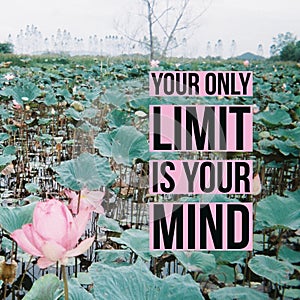 Inspirational Motivational quote `your only limit is your mind.` on water lily pond