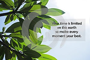 Inspirational motivational quote-Your time is limited on this earth, so make every moment your best. photo