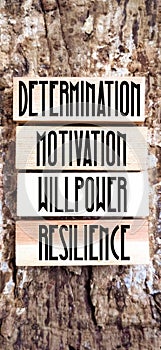 Inspirational and motivational words of determination motivation willpower resilience on wooden blocks with vintage background.