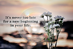 Inspirational motivational words  - It is never too late for a new beginning in your life. With daisy flowers on sunset background