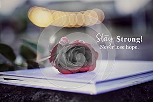 Inspirational motivational words - Stay strong. Never lose hope. Encouragement and fragility quote on vintage background of black photo