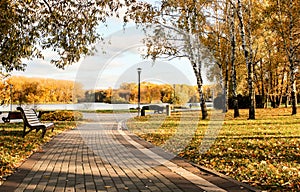 Inspirational natural autumn landscape. A path in the autumn city park leading to the embankment. Sunny warm day, golden autumn.