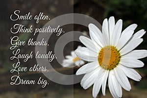 Inspirational positive words - Smile often. Think positively. Give thanks. Laugh loudly. Love others. Dream big. photo