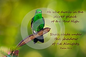 Inspirational quotation with a vibrant green hummingbird photo