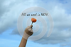 Inspirational quote - All we need is now. Motivational words concept with hand holding a flower against bright blue sky background photo