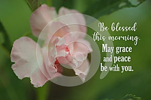 Inspirational quote - Be blessed this morning. May grace and peace be with you. With beautiful pink impatiens balsamic flower.