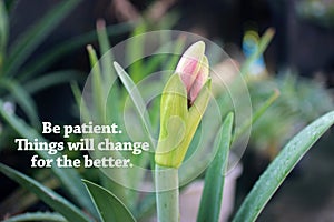 Inspirational quote - Be patient. Things will change for the better. With bud plant of purple lily flower blooming in the garden.