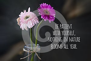 Inspirational quote - Be patient with yourself, nothing in nature blooms all year. With two beautiful pink flowers in a vase.