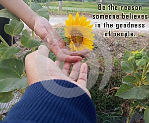 Inspirational quote - Be the reason someone believes in the goodness of people. With two human hands touch sunflower blossom.