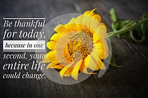 Inspirational quote - Be thankful for today. Because in one second, your entire life could change. Sunflower in black background.