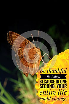 Inspirational quote - Be thankful for today. Because in one second, your entire life could change.  Thankfulness concept.