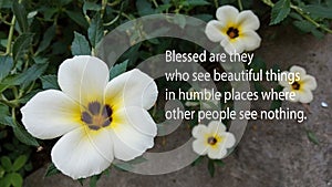 Inspirational quote - blessed are they who see beautiful things in humble places where other people see nothing. photo