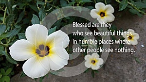 Inspirational quote - blessed are they who see beautiful things in humble places where other people see nothing.