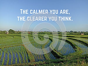 Inspirational quote - The calmer you are, the clearer you think. With tranquil nature landscape view and clear blue sky over field photo