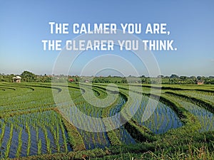 Inspirational quote - The calmer you are, the clearer you think. With tranquil nature landscape view and clear blue sky over field