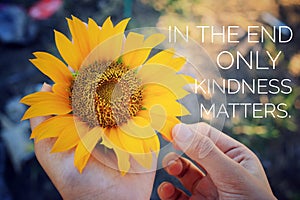 Inspirational quote - In the end only kindness matters. With Sunflower blossom in hands. Keep being nice, be kind concept photo