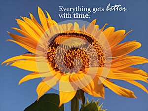 Inspirational quote- Everything gets better with time. With beautiful smiling sunflower blossom closeup. Blue sky background