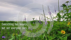 Inspirational quote - Everything has beauty, but not everyone sees it. With nature green grass and flowers background under blue