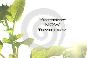 Inspirational quote- forget yesterday, live in the now, forget tomorrow.