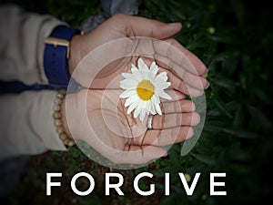 Inspirational quote - Forgive. With a beautiful white daisy flower in young woman open hands blossom background. Forgiveness word.