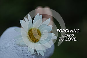 Inspirational quote - Forgive leads to love. On floral background of white daisy flower blossom in hand. Self healing concept.