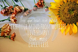 Inspirational quote - Free your heart from hatred, mind from worries, live simply, give more, expect less.