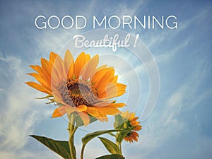 Inspirational quote - Good morning beautiful, With sunflower blossom closeup on bright blue sky background in low angle view.