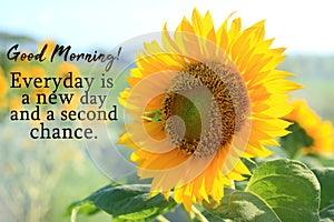 Inspirational quote - Good Morning. Everyday is a new day and a second chance. With sunflower blossom on a field.